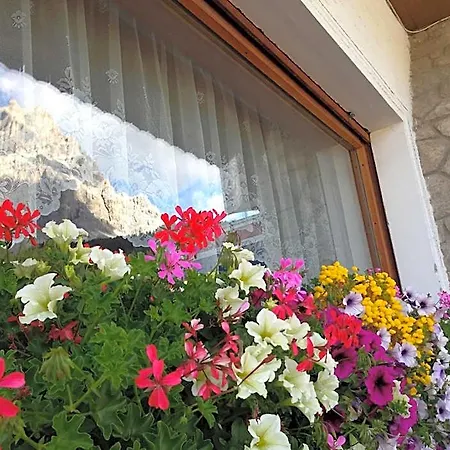 Bed & Breakfast Rifugio Palafavera Val di Zoldo